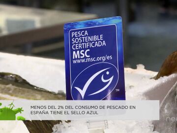 Comienza la 'Semana Mares Para Siempre', la iniciativa que quiere dar a conocer la pesca sostenible