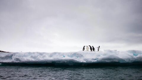 La superficie de hielo marino antartico alcanza un nuevo minimo historico La superficie de hielo marino antartico alcanza un nuevo minimo historico