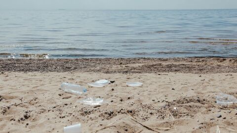 Plásticos de un solo uso en la playa arrastrados por el mar