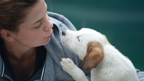 Cachorro en adopción junto a cuidadora