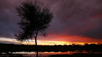 La crisis climatica se intensifica en los ocho anos mas calidos de los que se tiene constancia