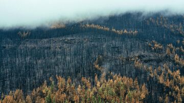 En 2022 ardieron en España 310.000 hectáreas forestales, el peor año del siglo en incendios 