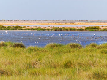 Parque Nacional de Doñana