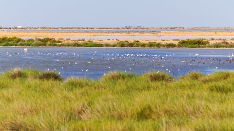 Parque Nacional de Do&ntilde;ana