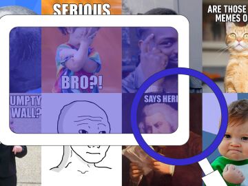 Radiograf&iacute;a e historia del meme: &iquest;qu&eacute; es y para qu&eacute; lo usamos? 