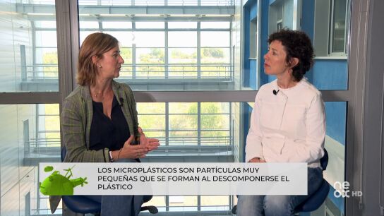 Programa Hazte Eco 1 Programa Hazte Eco 1