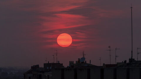 Baleares sufre temperaturas extremas este miércoles, especialmente Mallorca, con termómetros de hasta 39ºC Calor extremo