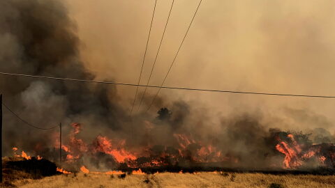 Incendios en Grecia Incendios en Grecia