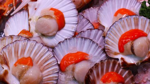 Los mariscos cultivados por el hombre son mas resistentes a la extincion Los mariscos cultivados por el hombre son mas resistentes a la extincion