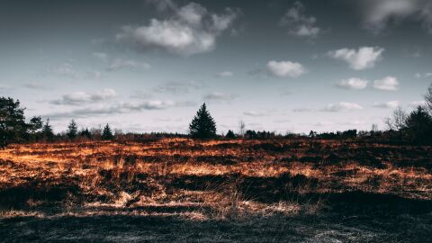 La ONU apoya el reconocimiento del 'ecocidio' como un crimen internacional La ONU apoya el reconocimiento del 'ecocidio' como un crimen internacional