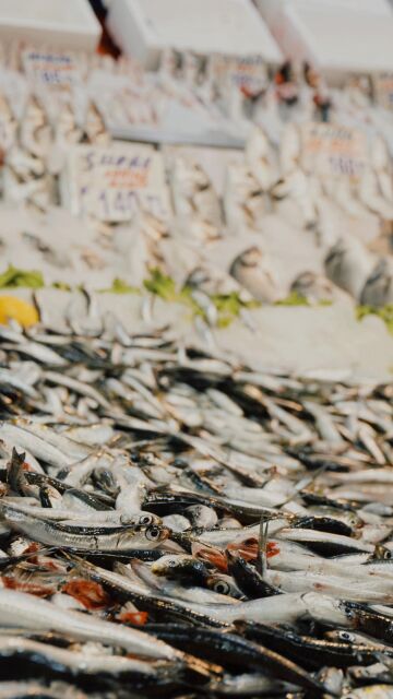 Imagen de archivo de pescado en una pescadería