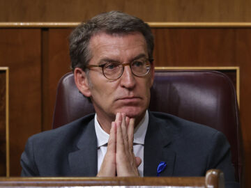 Alberto Núñez Feijóo en el Congreso de los Diputados