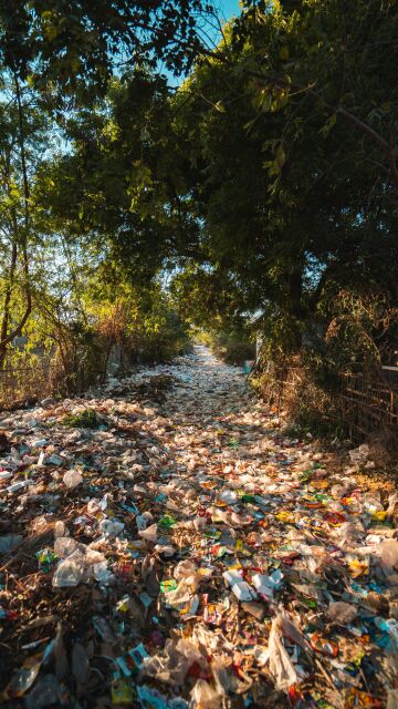 Alternativa a las botellas que se llevan al campo