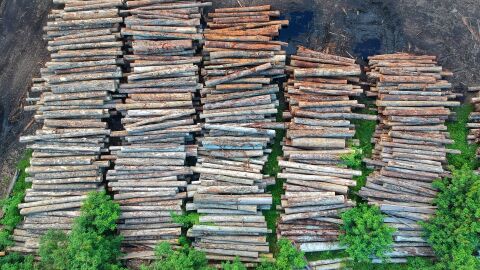 Deforestación Deforestación