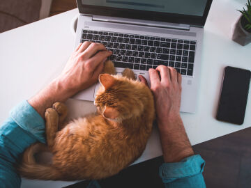 La era Pet Tech: la tecnolog&iacute;a tambi&eacute;n llega al sector de los animales de compa&ntilde;&iacute;a