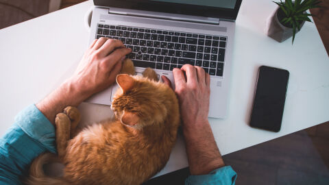 La era Pet Tech: la tecnología también llega al sector de los animales de compañía