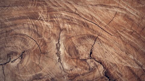 Madera Madera