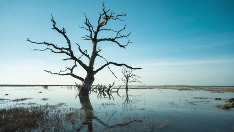 Los mayoría de los jóvenes consideran la realidad de la crisis climática