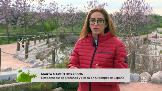 PROGRAMA HZTE ECO PROGRAMA HZTE ECO