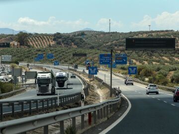 Adjudicada la revegetaci&oacute;n de autov&iacute;as de Almer&iacute;a, Granada, Ja&eacute;n y M&aacute;laga con 5.200 plantas y arbustos