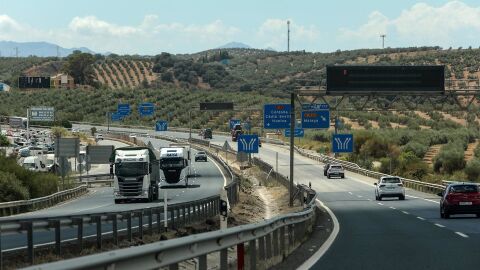 Adjudicada la revegetación de autovías de Almería, Granada, Jaén y Málaga con 5.200 plantas y arbustos
