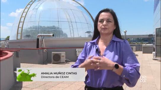 programa hazte eco 2
