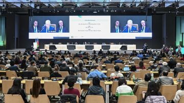 Los países en la COP29 sellan el acuerdo sobre el mercado mundial del carbono.