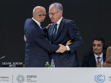 COP29