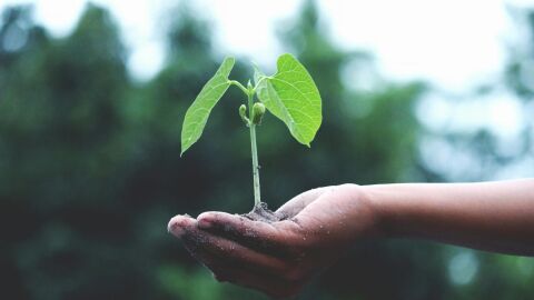 La importancia de contar con información fiable y accesible para proteger la biodiversidad