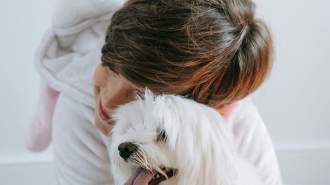 'Soy más bonito por dentro': una iniciativa de RSCE que enseña a los más pequeños a cuidar y respetar a los perros