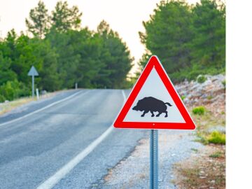 Los siniestros con animales se mantienen en los últimos años, pero siguen siendo un 145% más que hace una década Los siniestros con animales se mantienen en los últimos años, pero siguen siendo un 145% más que hace una década