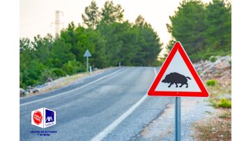 Los siniestros con animales se mantienen en los últimos años, pero siguen siendo un 145% más que hace una década