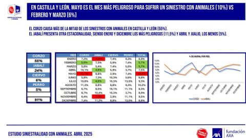 Corzo, protagonista en Castilla y León Corzo, protagonista en Castilla y León