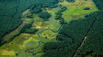 La ESA lanza Biomass, el primer satélite capaz de "ver" dentro de los bosques para medir carbono y proteger el clima