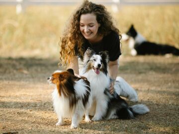 ¿Cómo proteger a tu perro ante una ola de calor?