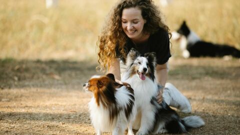 ¿Cómo proteger a tu perro ante una ola de calor?