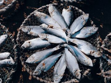 Eviscerar el pescado reduce el riesgo de anisakis
