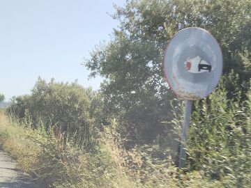 Maleza y señales deterioradas en Cáceres Maleza y señales deterioradas en Cáceres