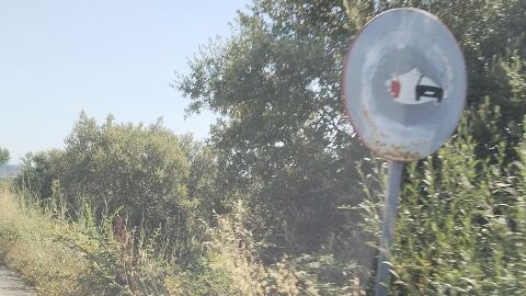 Maleza y señales deterioradas en Cáceres Maleza y señales deterioradas en Cáceres