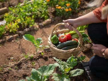 Frutas y verduras: la forma más natural de hidratarse