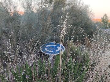 Rotonda llena de maleza y sin visibilidad Rotonda llena de maleza y sin visibilidad