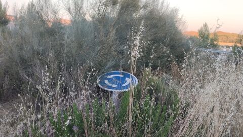 Rotonda llena de maleza y sin visibilidad Rotonda llena de maleza y sin visibilidad