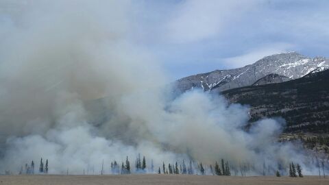 Incendio forestal