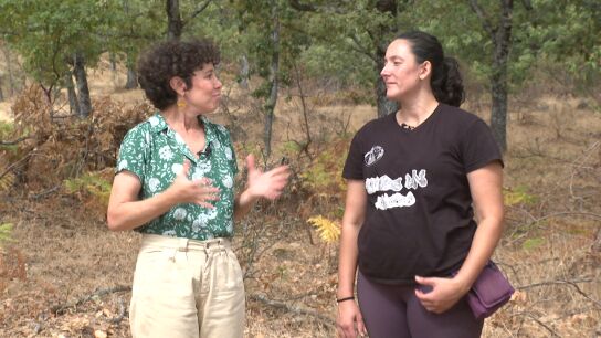 C&oacute;mo la ganader&iacute;a extensiva ayuda a prevenir los incendios forestales