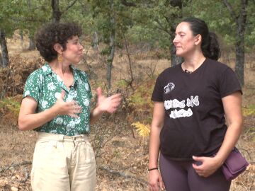 Cómo la ganadería extensiva ayuda a prevenir los incendios forestales Cómo la ganadería extensiva ayuda a prevenir los incendios forestales