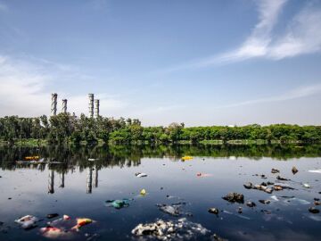 Las consecuencias del cambio climático Las consecuencias del cambio climático