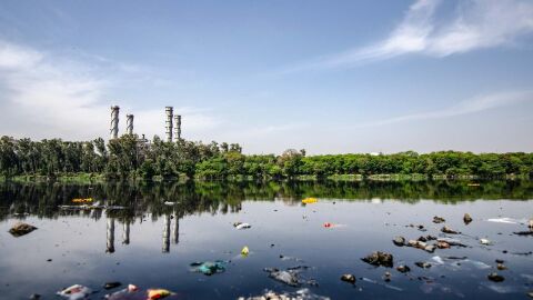 Las consecuencias del cambio climático Las consecuencias del cambio climático