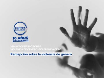 VI Macroestudio de violencia de g&eacute;nero 'Tolerancia Cero'