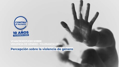 VI Macroestudio de violencia de g&eacute;nero 'Tolerancia Cero'