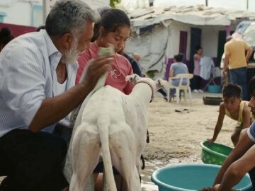 Ciudad sin luz Ciudad sin luz